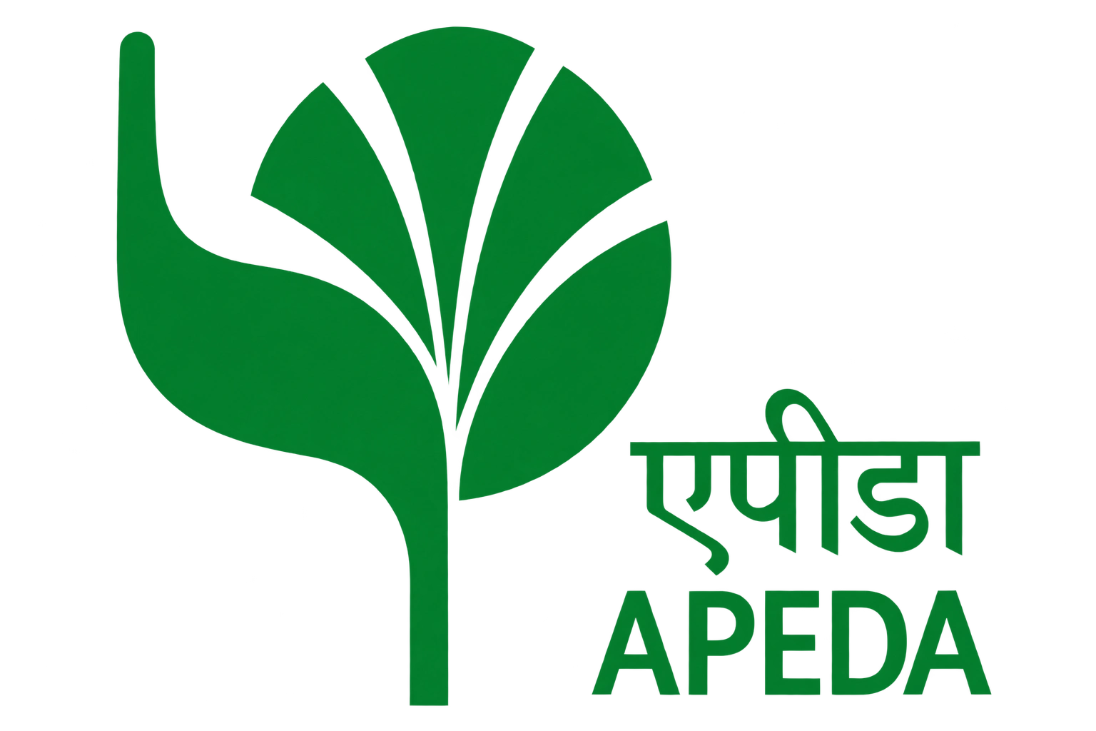 APEDA Logo