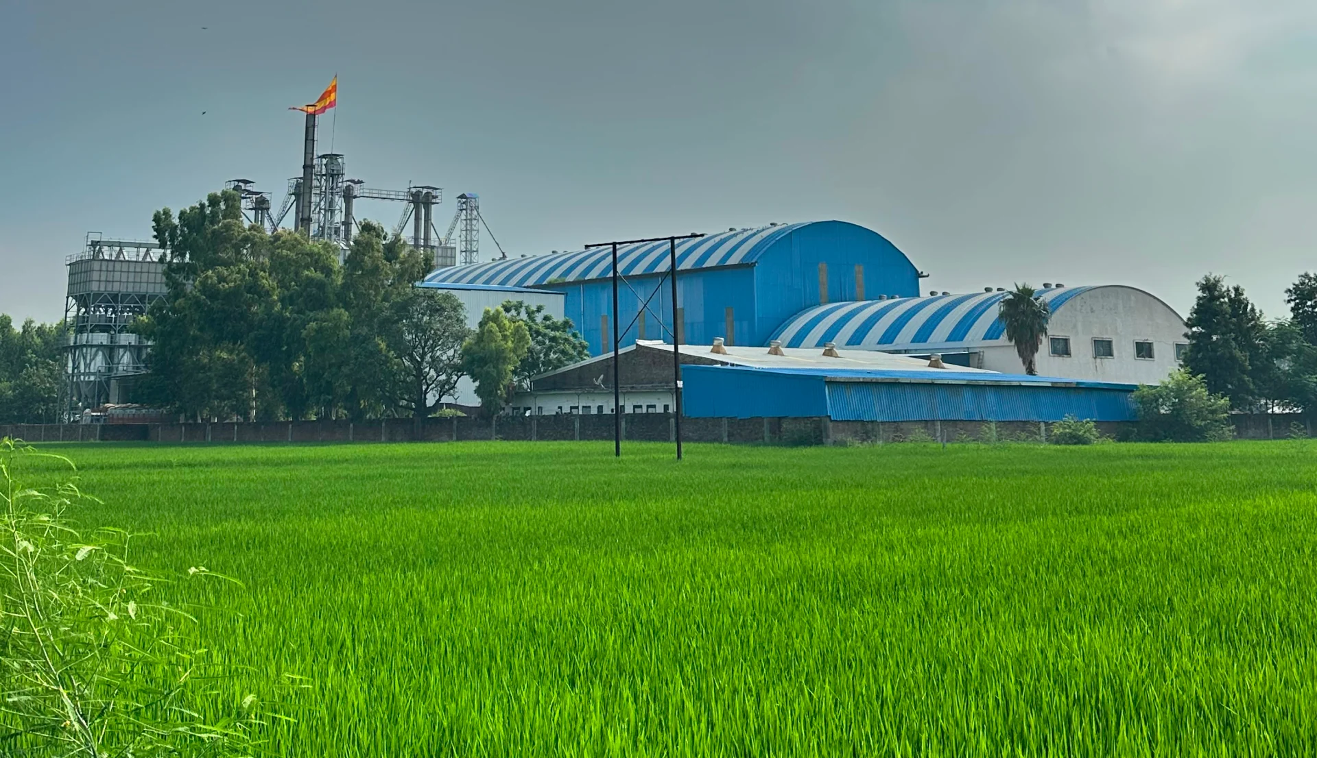 Laxmi Narayan Foods Facility - Have a look inside