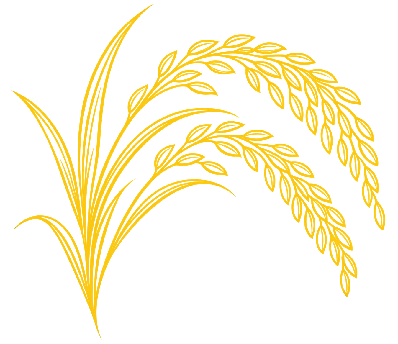 Paddy Stalk Lineart